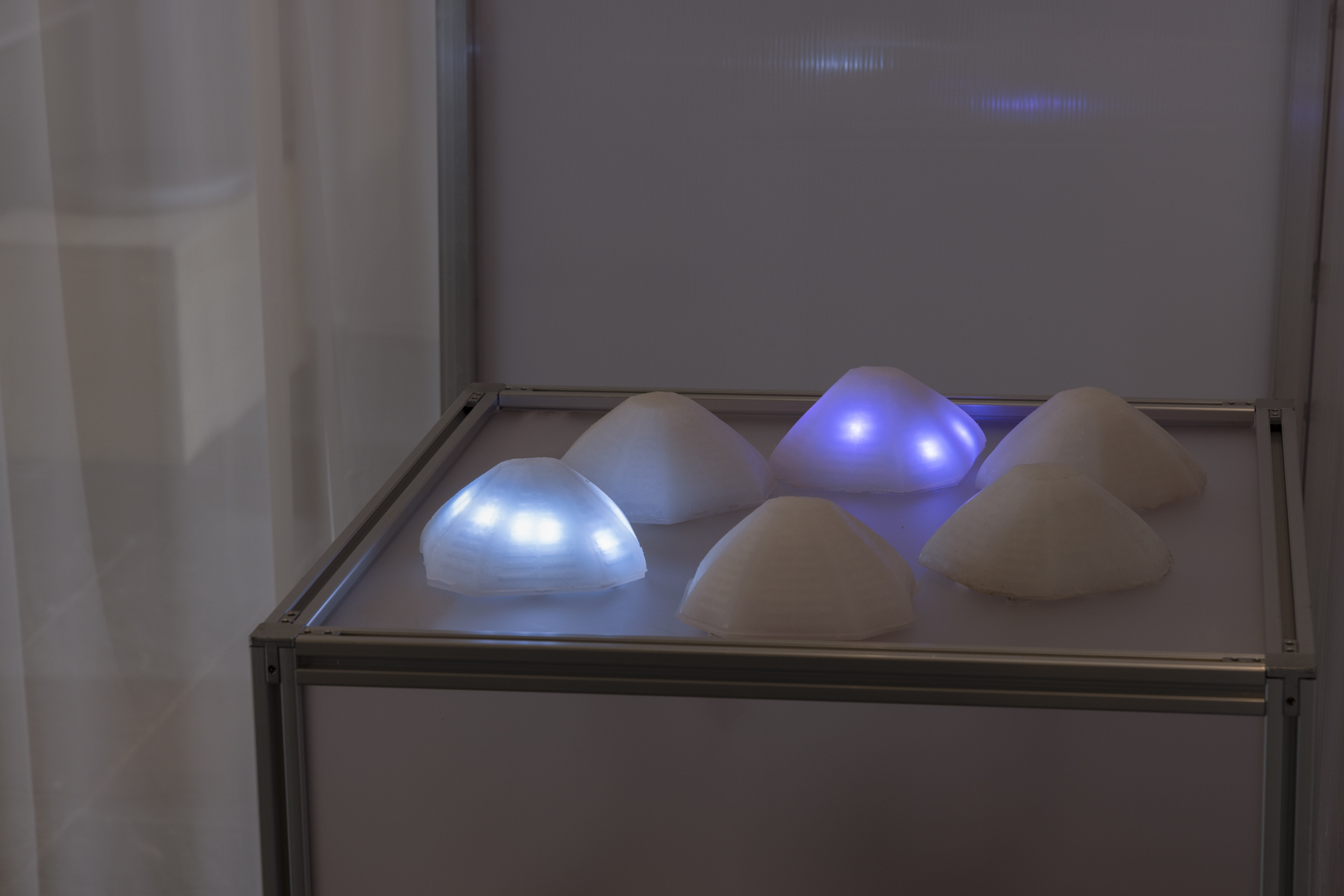 Murmuroids